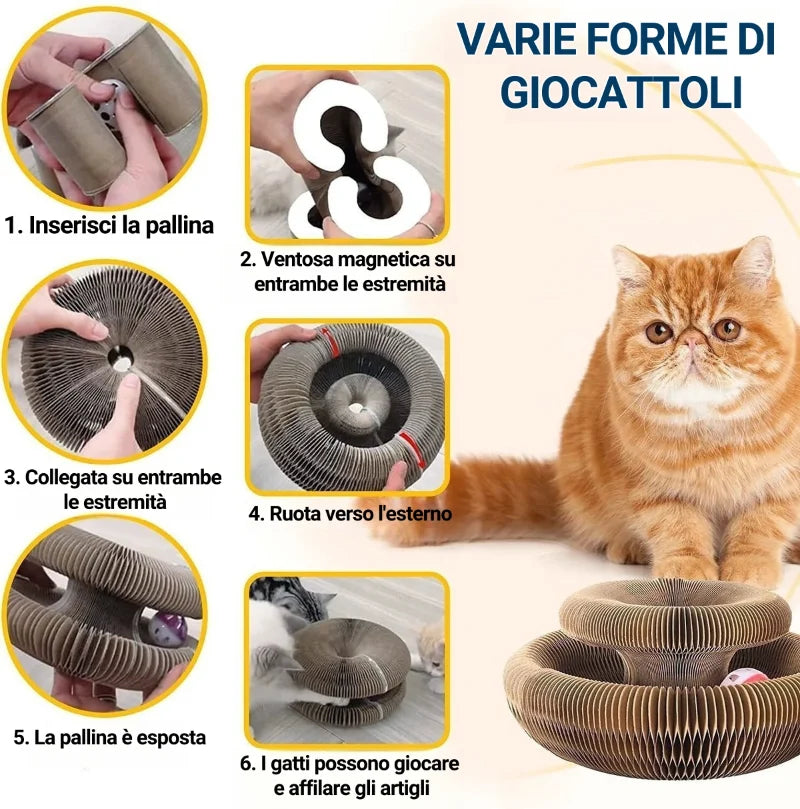 š»Tavola da grattare per gatti magica pieghevole