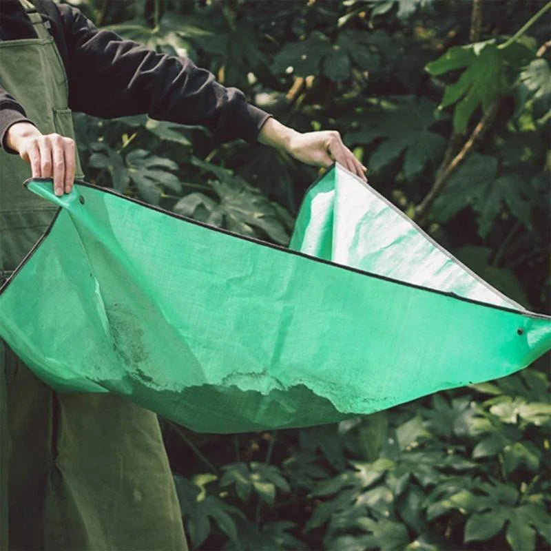 Giardinaggio Trapianto Sottovaso