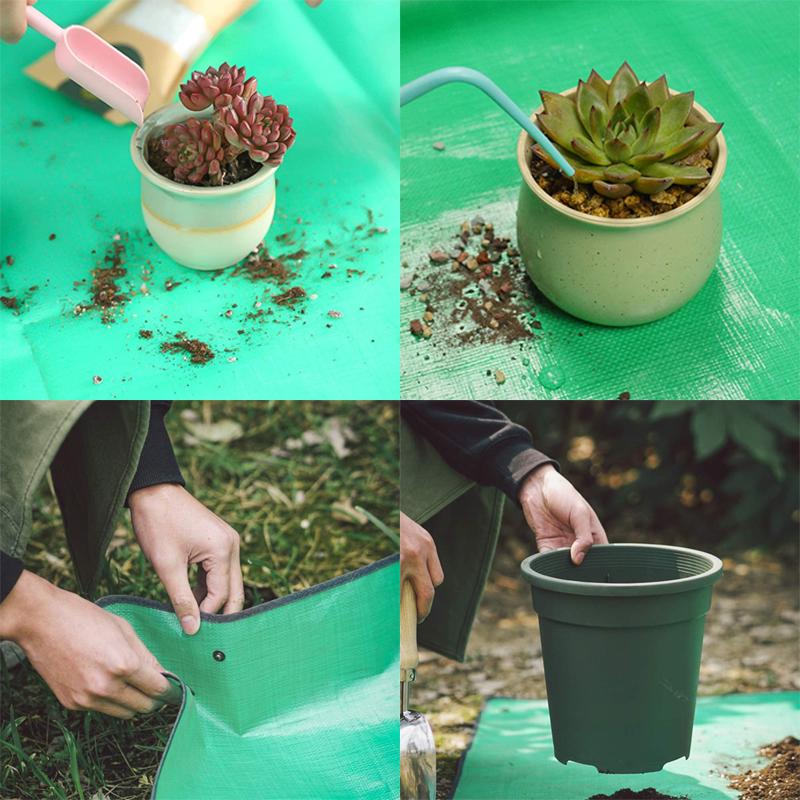 Giardinaggio Trapianto Sottovaso
