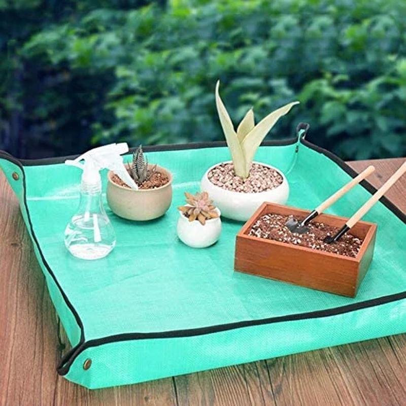 Giardinaggio Trapianto Sottovaso