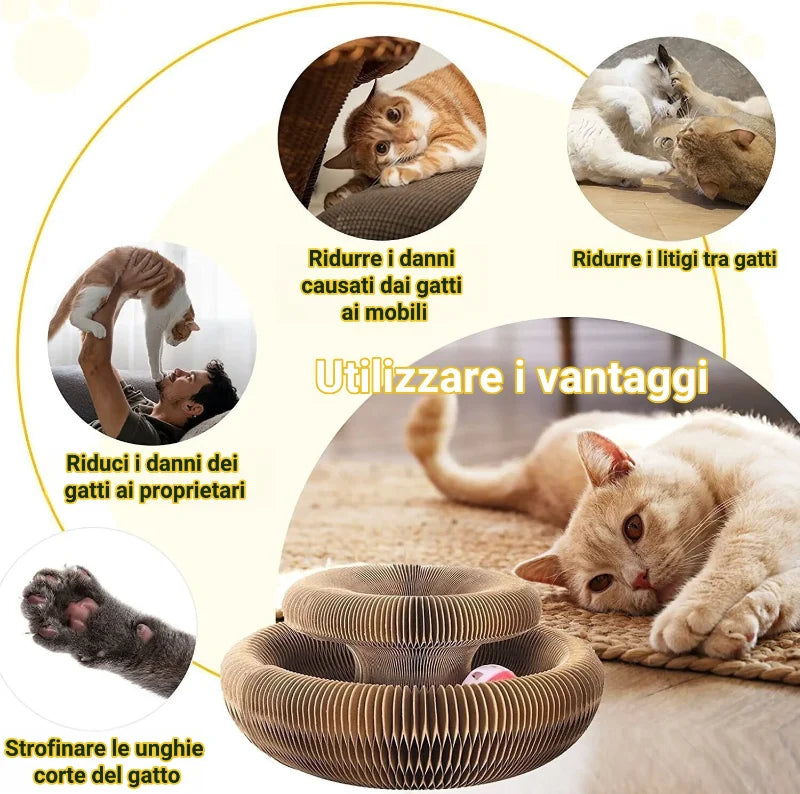 š»Tavola da grattare per gatti magica pieghevole