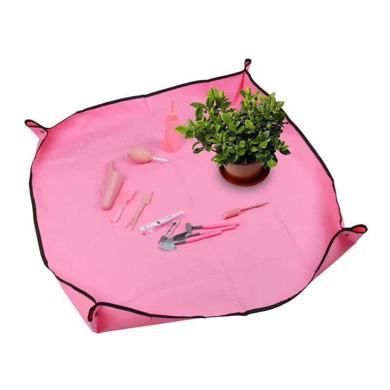 Giardinaggio Trapianto Sottovaso