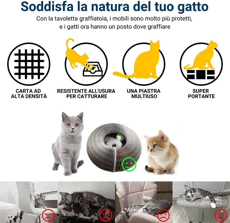 š»Tavola da grattare per gatti magica pieghevole