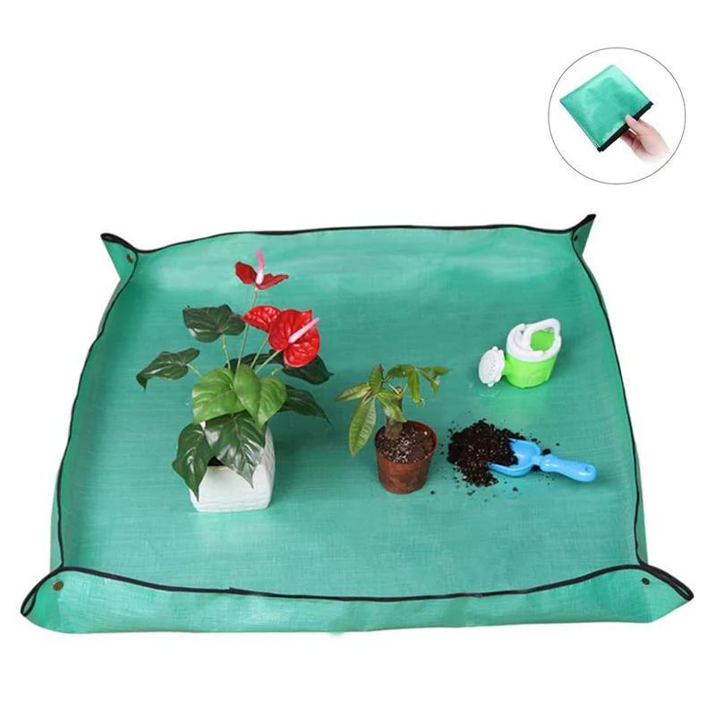 Giardinaggio Trapianto Sottovaso