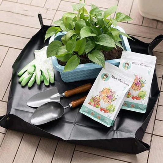 Giardinaggio Trapianto Sottovaso