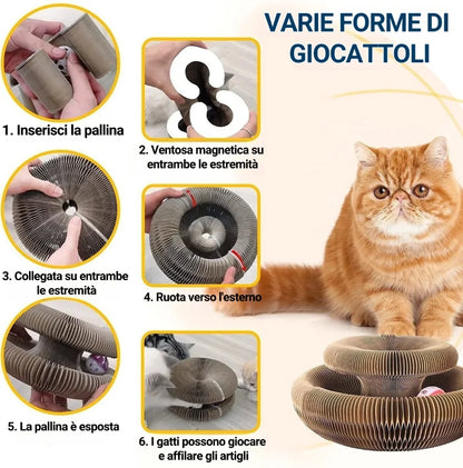 😻Tavola da grattare per gatti magica pieghevole