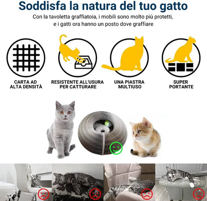 😻Tavola da grattare per gatti magica pieghevole