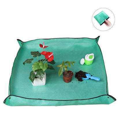 Giardinaggio Trapianto Sottovaso